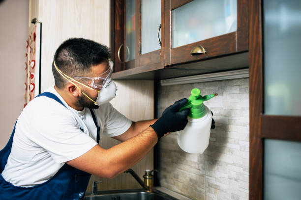Best Pest Prevention Services  in Stevensville, MT