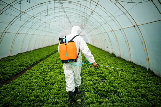 Best Affordable Pest Control Services  in Stevensville, MT