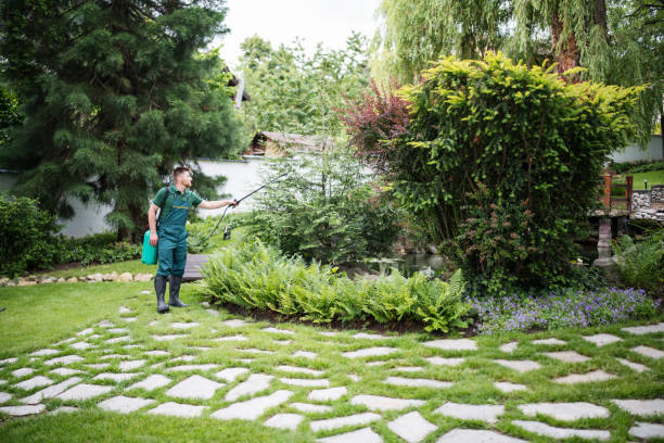 Best Wasp Removal Services  in Stevensville, MT