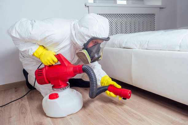 Best Pest Inspection Near Me  in Stevensville, MT