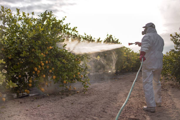 Best Pest Control Near Me  in Stevensville, MT