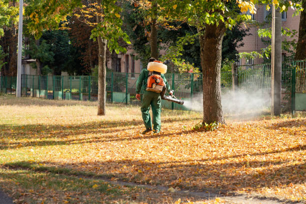 Best Termite Control Services  in Stevensville, MT